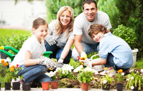 Evde Yetiştirebileceğiniz-Tüketilebilir-Bitkiler